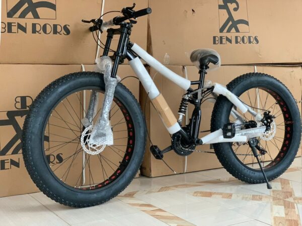 Ben Rors Fat Tire Mountain Bike