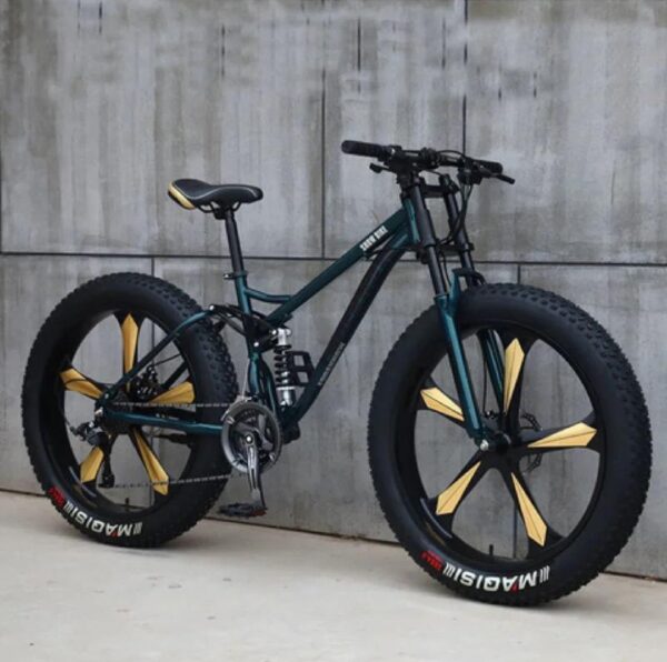 Ben Rors Fat Tire Mountain Bike